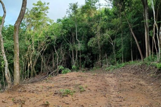 Sunset Seaview land for sell