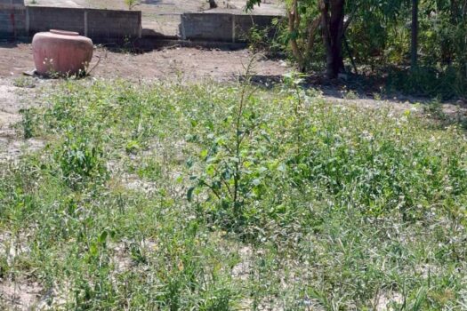 Flat land Plai Laem for sell