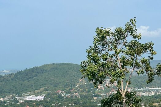 Seaview land for sell Bophut Hill