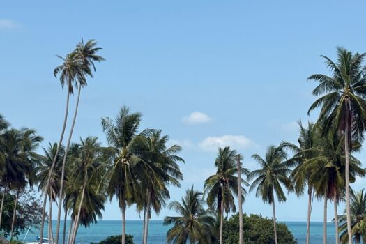 Prime sunset Beachfront land direct access to the beach