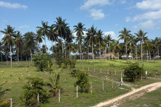 Prime sunset Beachfront land direct access to the beach