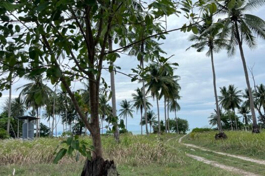Prime sunset Beachfront land direct access to the beach