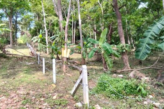 Land For Sell 1-2-69 Rai