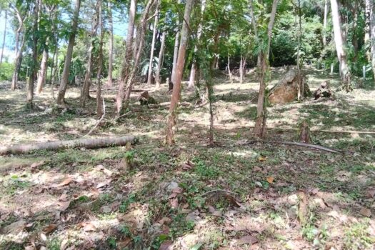 Land For Sell 1-2-69 Rai