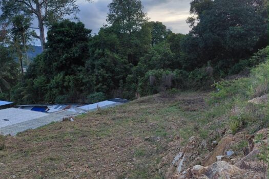Maenam Soi 1 Land For Sell