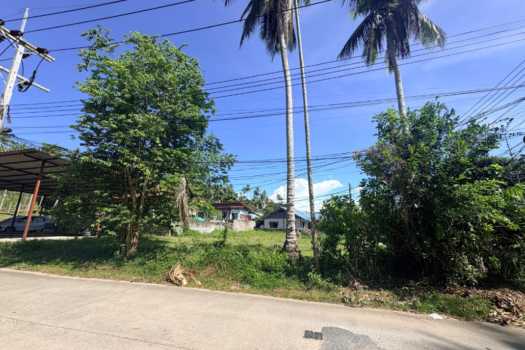 Nathon Land For Sell