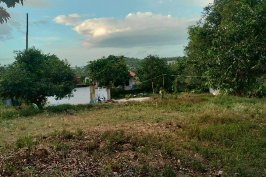 Plai Laem Soi 8 Land for Lease 30 Years 8 Rais