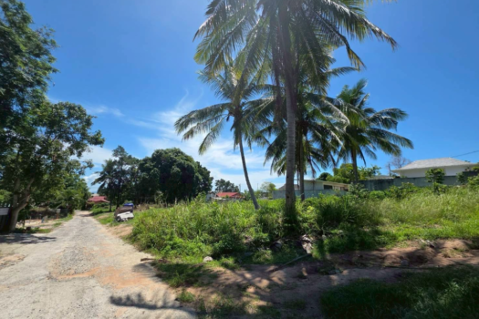Maenam Soi 1 Land For Lease