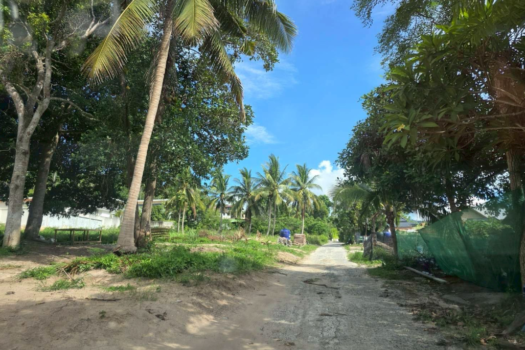 Maenam Soi 1 Land For Lease