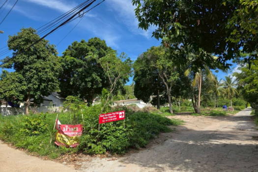 Maenam Soi 1 Land For Lease