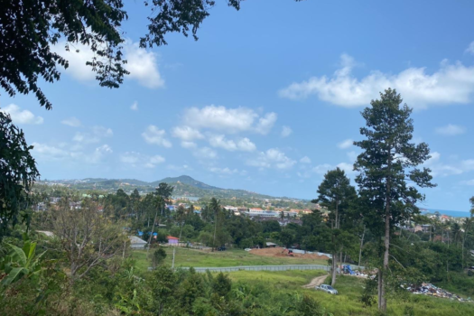 Seaview land Chaweng for sell 8 million/ Rai