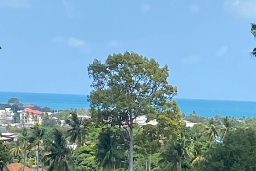 Seaview land Chaweng for sell 8 million/ Rai