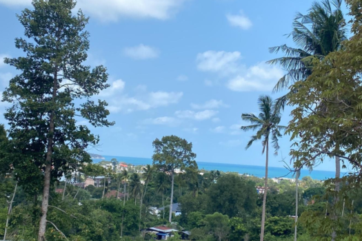 Seaview land Chaweng for sell 8 million/ Rai