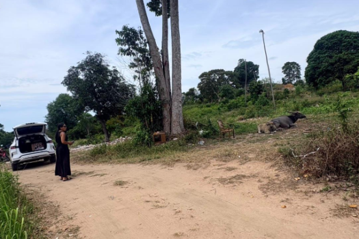 Seaview land Chaweng for sell 8 million/ Rai