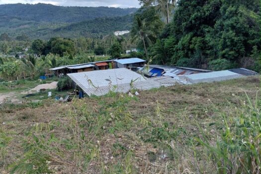 Maenam Soi 1 Land For Sell