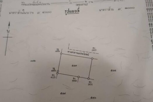 Maenam Soi 1 Land For Sell
