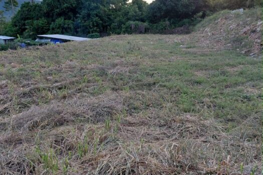 Maenam Soi 1 Land For Sell